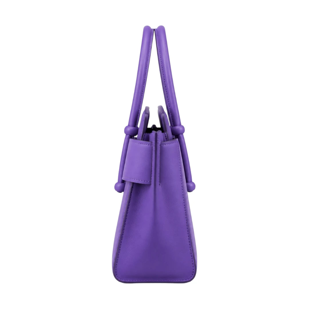 Bagv Purple Structured Satchel Handbag