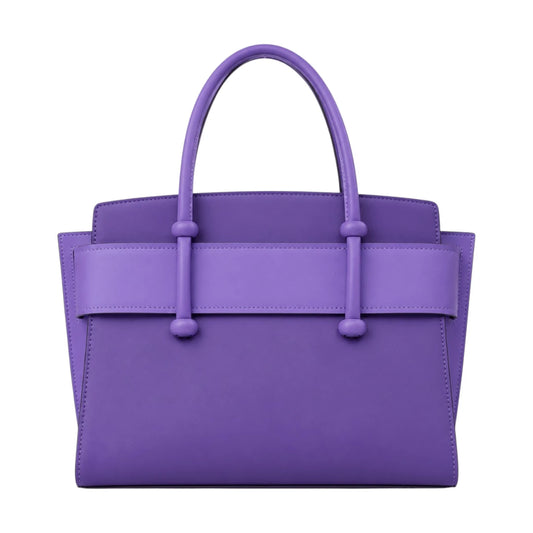 Bagv Purple Structured Satchel Handbag