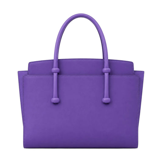 Bagv Purple Structured Satchel Handbag